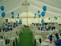Party Balloons For All Occasions 1102782 Image 2